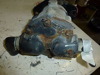 Picture of Rear 4WD Drive Motor 92-7386 Toro 6700D 6500D Reelmaster Mower