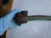 Picture of Valve Head Cover Breather Tube AT12299 T13182 John Deere Tractor