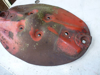 Picture of Disk 279858 New Holland 411 Disc Mower Conditioner