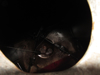 Picture of John Deere AR78076 Fuel Tank AR104492