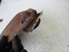Picture of Rusty Vicon B2280294 Disc
