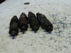 Picture of 4 Case H659508 Fuel Injectors off Mitsubishi 4DQ5 DH4B Trencher