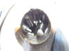 Picture of Kubota 3G900-32202 Differential Assy  to Tractor