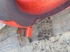 Picture of Jacobsen 4123171 Deck  AR-5 Mower