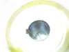 Picture of John Deere TCU22626 Front Hub 7500 7700 8500 8700 8800 Mower